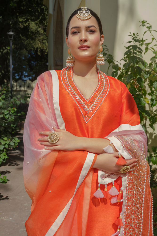 Load image into Gallery viewer, Anamika