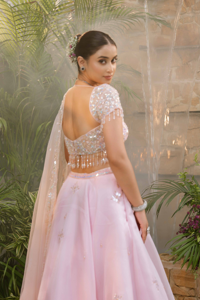 Load image into Gallery viewer, Alina Organza Grace Lehenga
