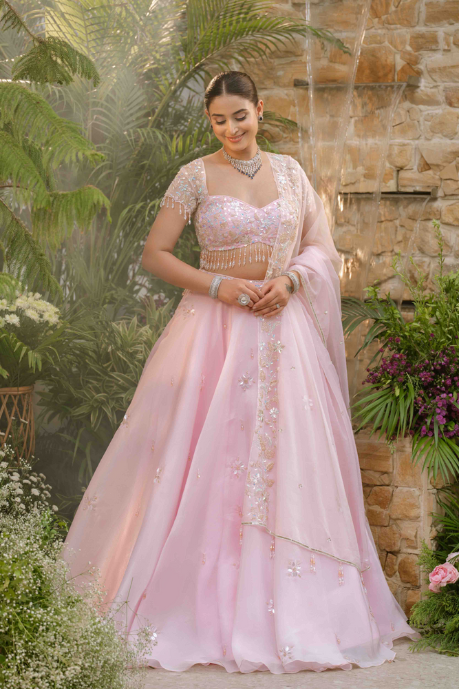 Load image into Gallery viewer, Alina Organza Grace Lehenga
