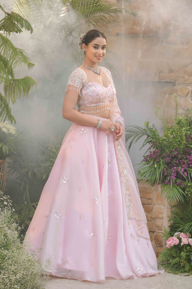 Load image into Gallery viewer, Alina Organza Grace Lehenga
