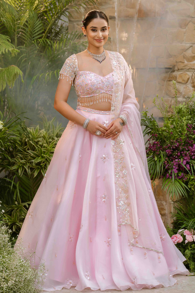 Load image into Gallery viewer, Alina Organza Grace Lehenga
